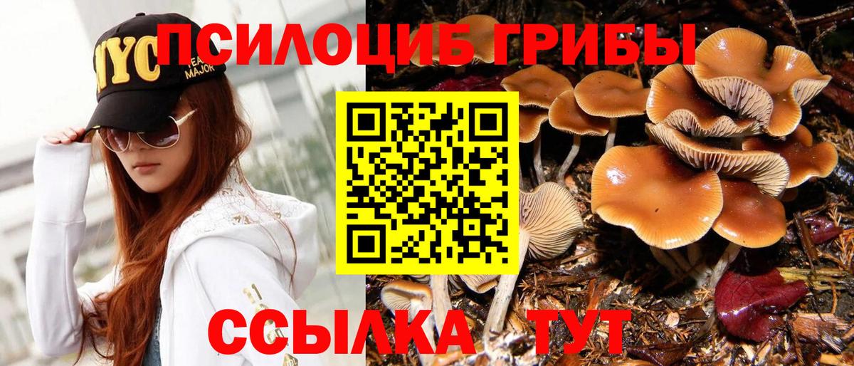 Псилоцибиновые грибы Magic Shrooms Полысаево