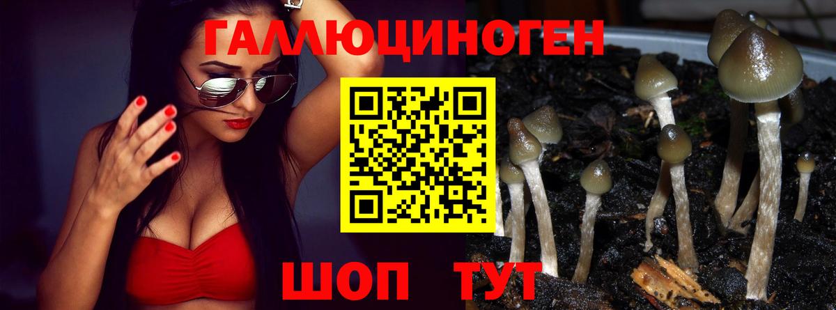Псилоцибиновые грибы прущие грибы  Вход с VPN  купить наркотики сайты  Полысаево 
